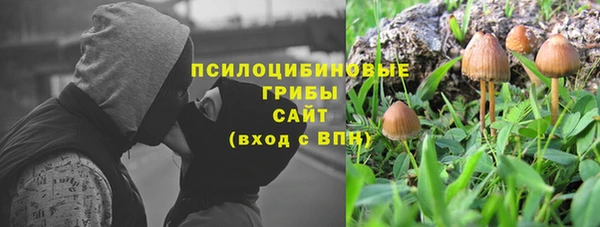 прущий лед Осинники