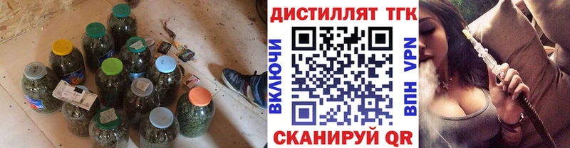 Купить где  Кириллов  ТГК концентрат 